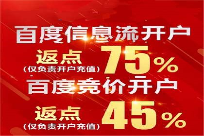 竞价排名中的数据分析和优化案例